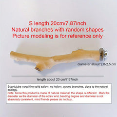 Natural Parrot Perch Stand Tree Paw Grinding Climbing Bird Branches