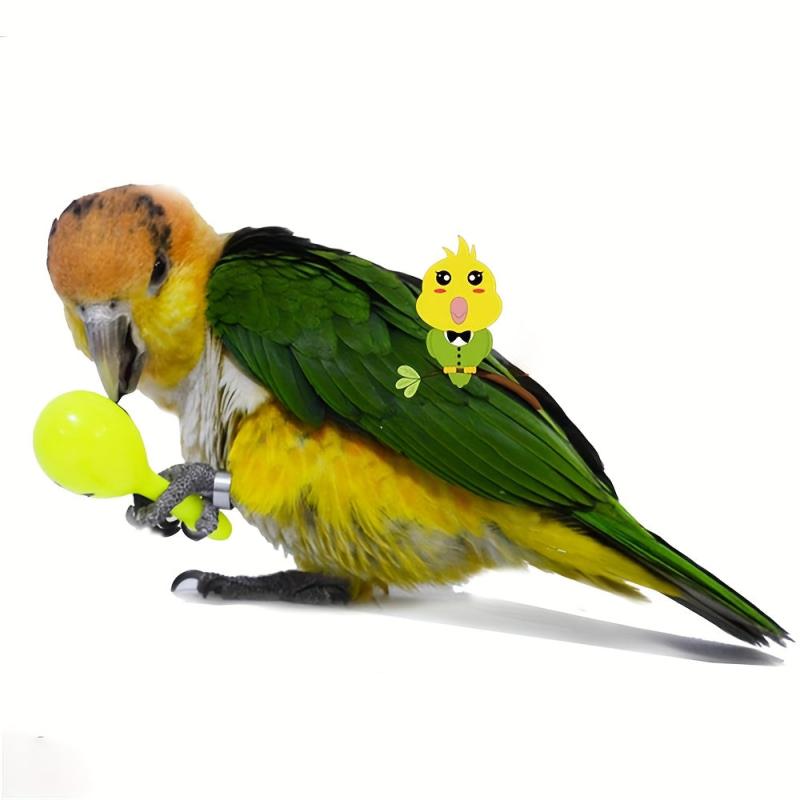 3pcs Parrot Rattle Sands Hammer Balls Bird Bites Wisdom Toys
