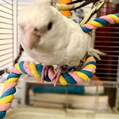 Bird Spiral Cotton Rope Perch U Shaped Toy for Cage