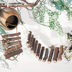 Coconut Hideaway Ladder Toy for Hamster Bird Cage