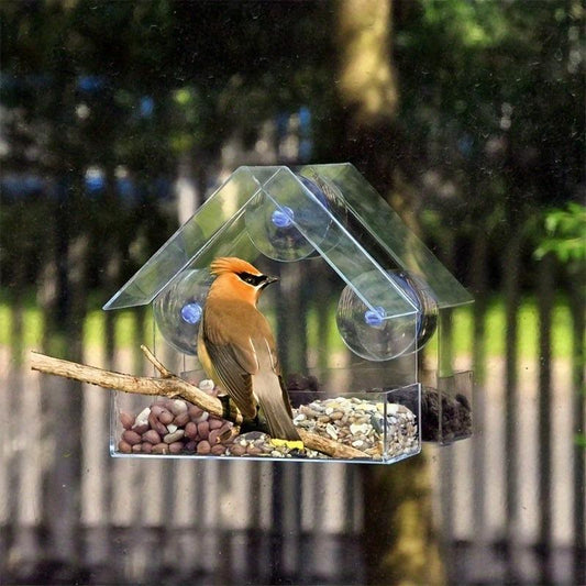 Clear Acrylic Window Bird Feeder Easy to Install