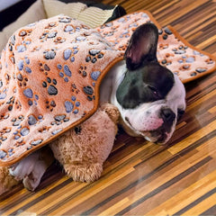Warm & Soft Pet Blanket with Paw Print for Dogs, Cats, Guinea Pigs