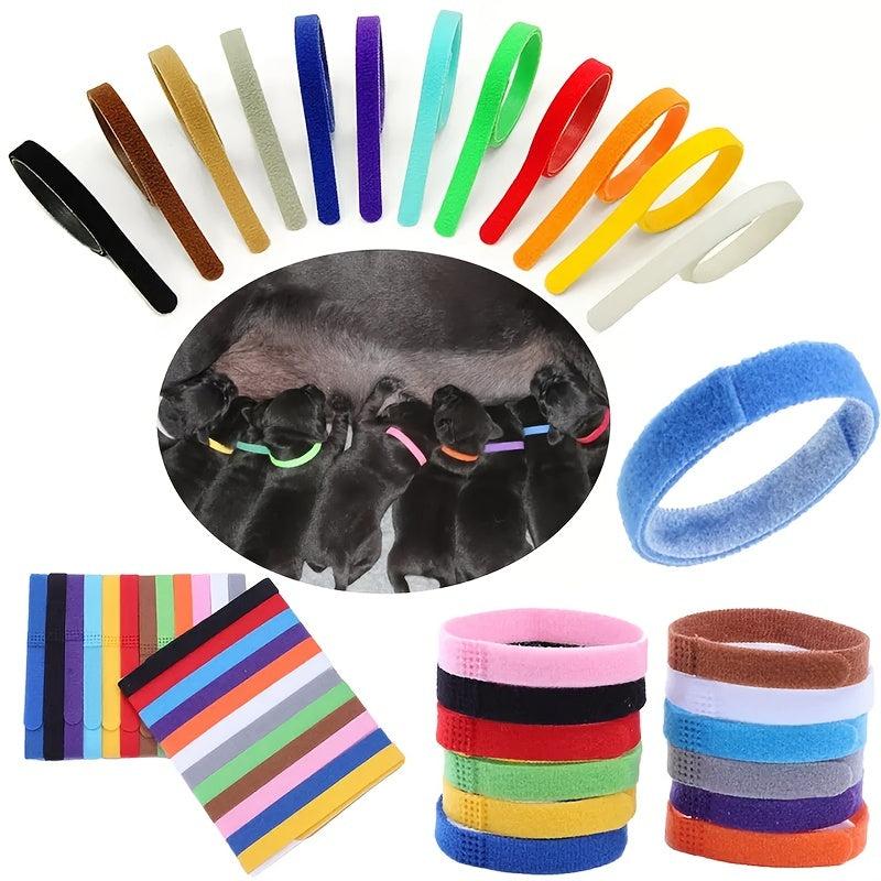 Colorful Adjustable ID Collars for Pets