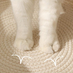 Handwoven Rattan Cat Nest Bed with Interactive Ball