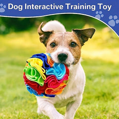 Pet Ball Toy Interactive Sniffing Food Leaking Chew Squeaky Toy