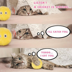 Interactive Pet Toy with Squeaker for Training