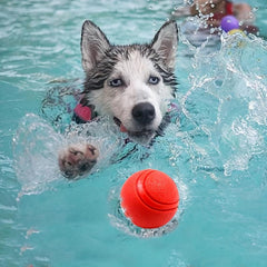 Durable Rubber Ball for Dogs Bite Resistant Floats Perfect Training Toy