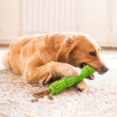 Dog Chew Toy Interactive Bubber Toy Teeth Clean Training Toy