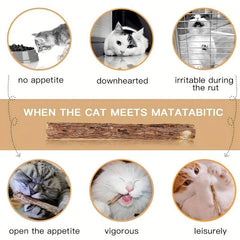 15pcs Catnip Sticks Chew Toys For Cat