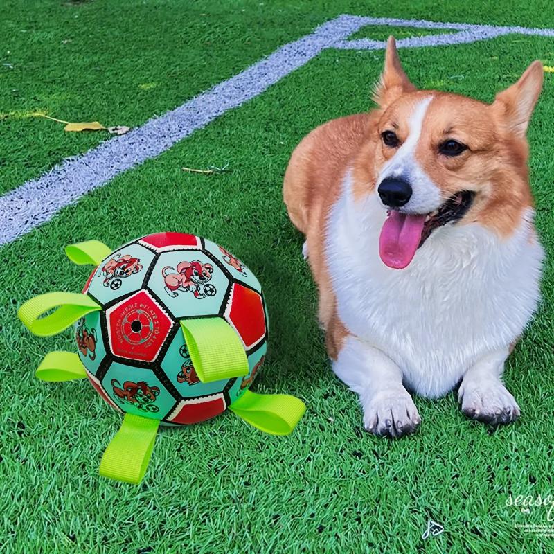 Pet Football Sound Toy Interactive Luminous Ball Toy For Dog