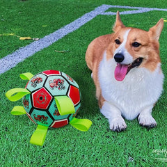Pet Football Sound Toy Interactive Luminous Ball Toy For Dog