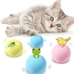 Interactive Cat Ball Toys for Fun and Exercise