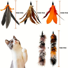 6pcs Natural Bird Feather Cat Wand Refills Interactive Toy