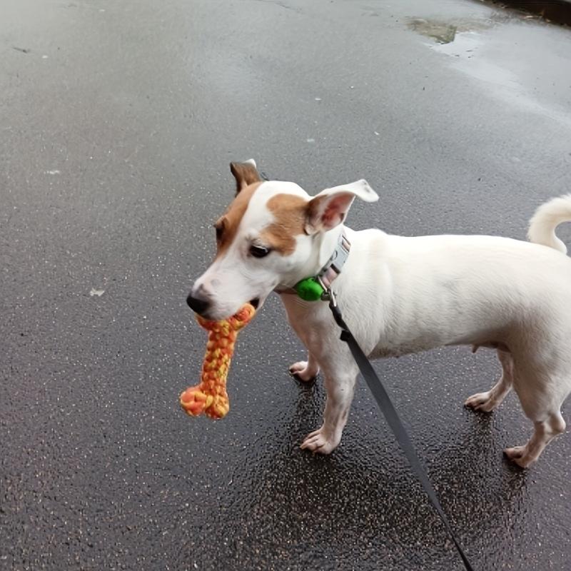 1pc Pet Random Bone Knot Chew Toy Interactive Toy For Dogs
