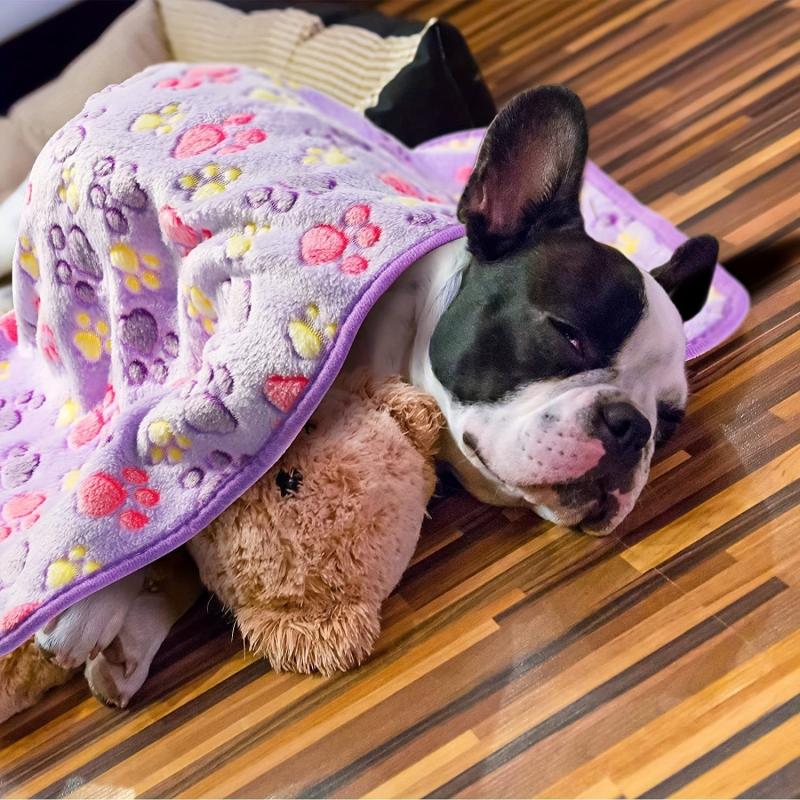 Cozy Paw Print Pet Blanket Soft Fleece Sleeping Mat for Cats and Dogs