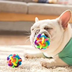 Non Toxic Rainbow Rubber Ball with Bell for Dogs