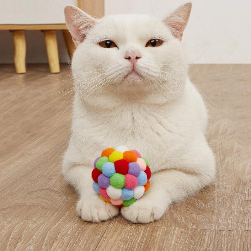Interactive Cat Ball Toy for Indoor Cats