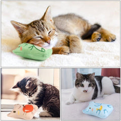2pcs Cat Teaser Toy Interactive Pet Supplies