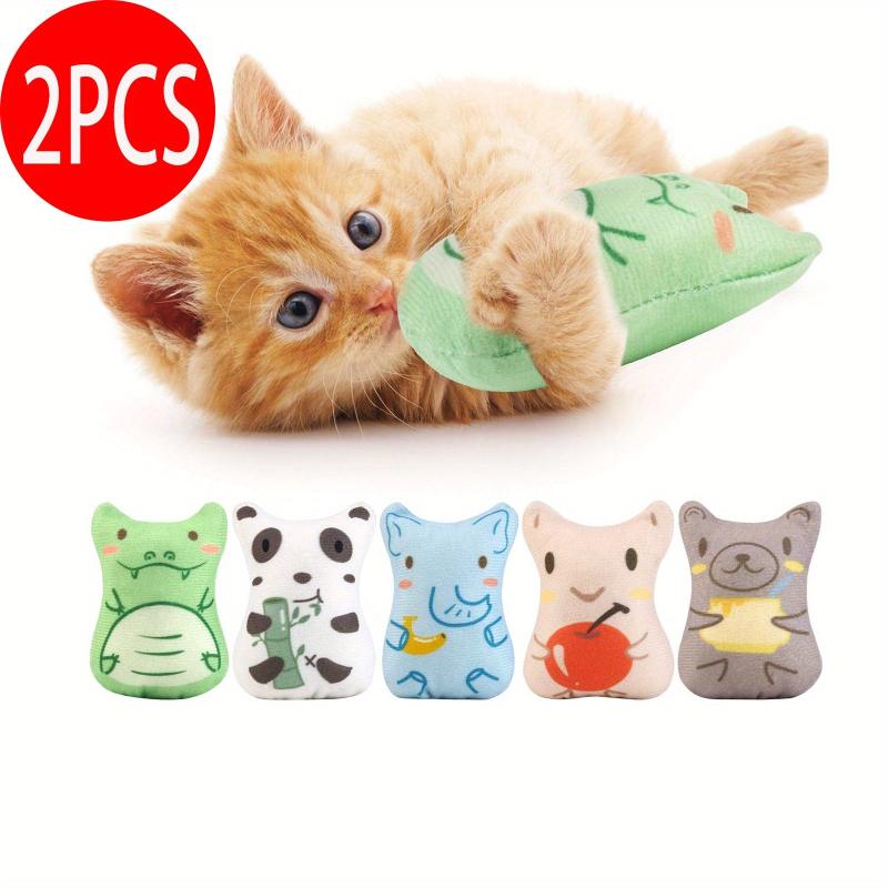 2pcs Cat Teaser Toy Interactive Pet Supplies