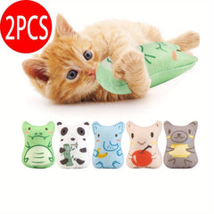 2pcs Cat Teaser Toy Interactive Pet Supplies