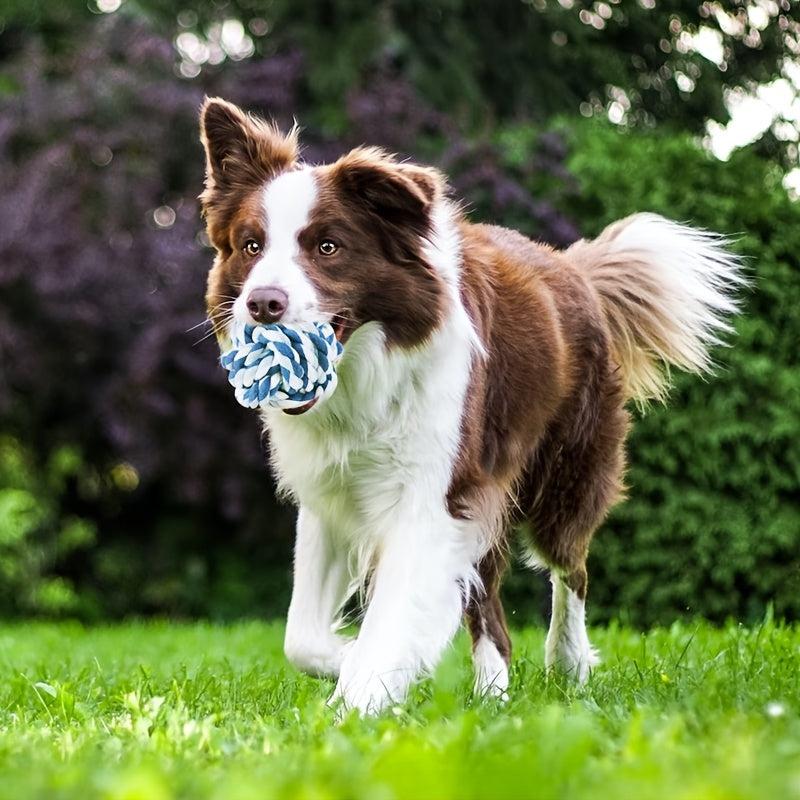 Large Dog Rope Knot Chew Toy for Healthy Teeth and Play