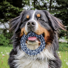 Large Dog Rope Knot Chew Toy for Healthy Teeth and Play