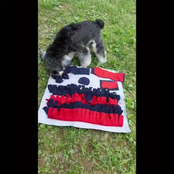 Interactive Pet Snuffle Mat for Puppy Mental Stimulation
