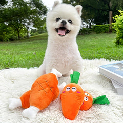 Squeaky Chicken Leg Bone Dog Toy