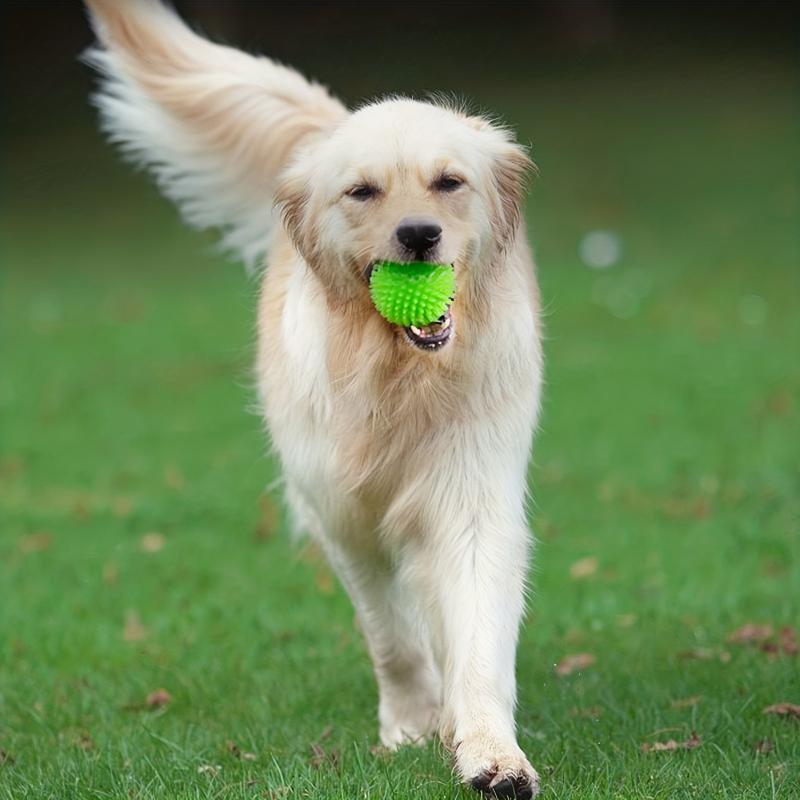 Interactive Dog Chew Toy Fun Training & Teeth Cleaning Random Ball