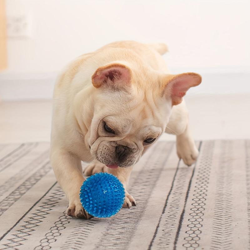 Interactive Dog Chew Toy Fun Training & Teeth Cleaning Random Ball