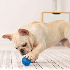 Interactive Dog Chew Toy Fun Training & Teeth Cleaning Random Ball
