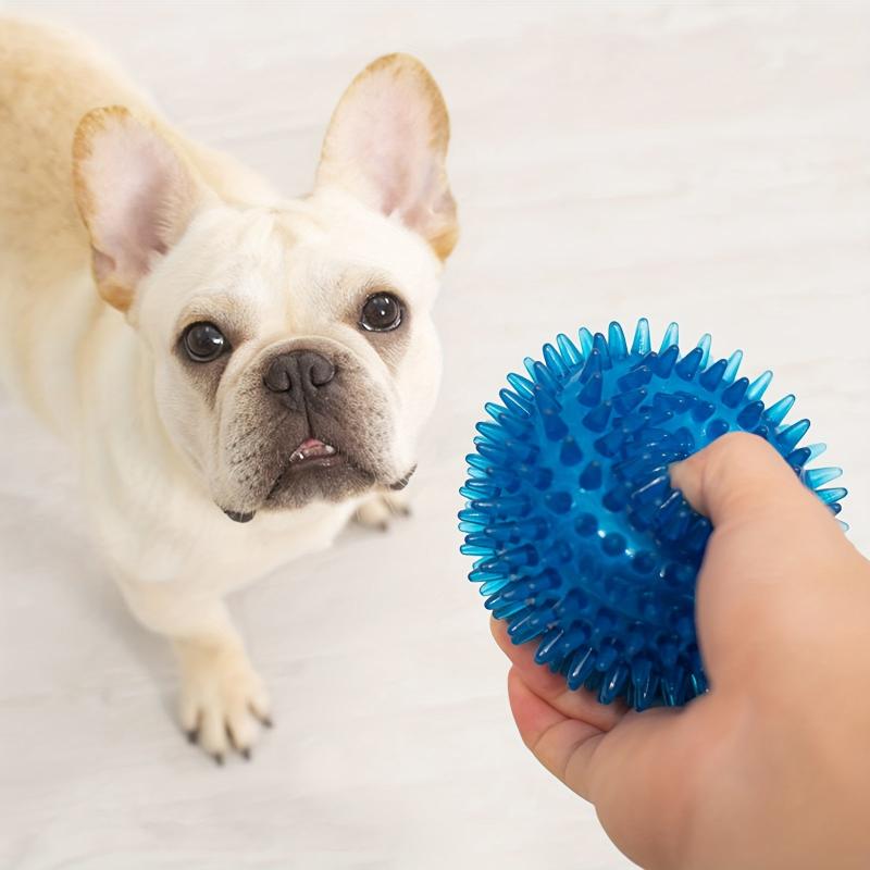 Interactive Dog Chew Toy Fun Training & Teeth Cleaning Random Ball
