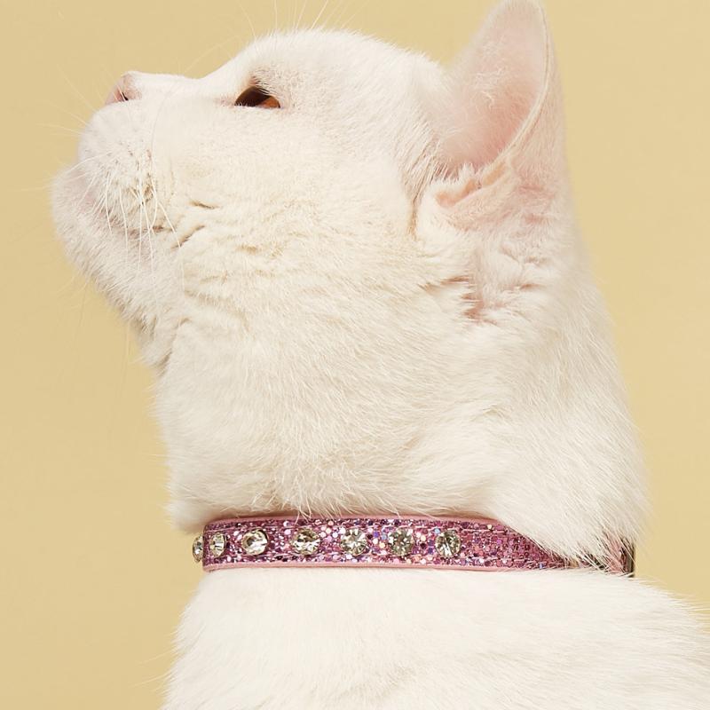 Adjustable Sparkle Drill Cat Collar
