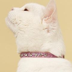 Adjustable Sparkle Drill Cat Collar