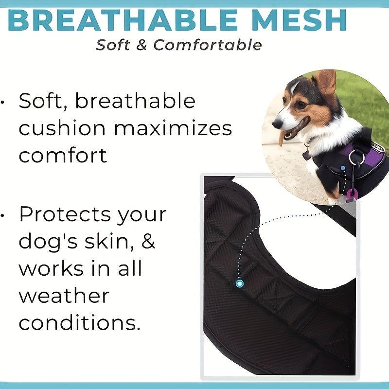 Pet Strap Traction Equipment for Large and Medium Pets