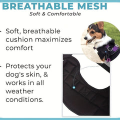 Pet Strap Traction Equipment for Large and Medium Pets