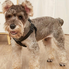Escape Proof Pet Harness with Adjustable Straps Dog Vest