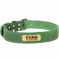 Personalized Leather Dog Collar, Padded, Rust Proof