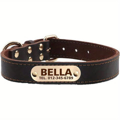 Personalized Leather Dog Collar, Padded, Rust Proof