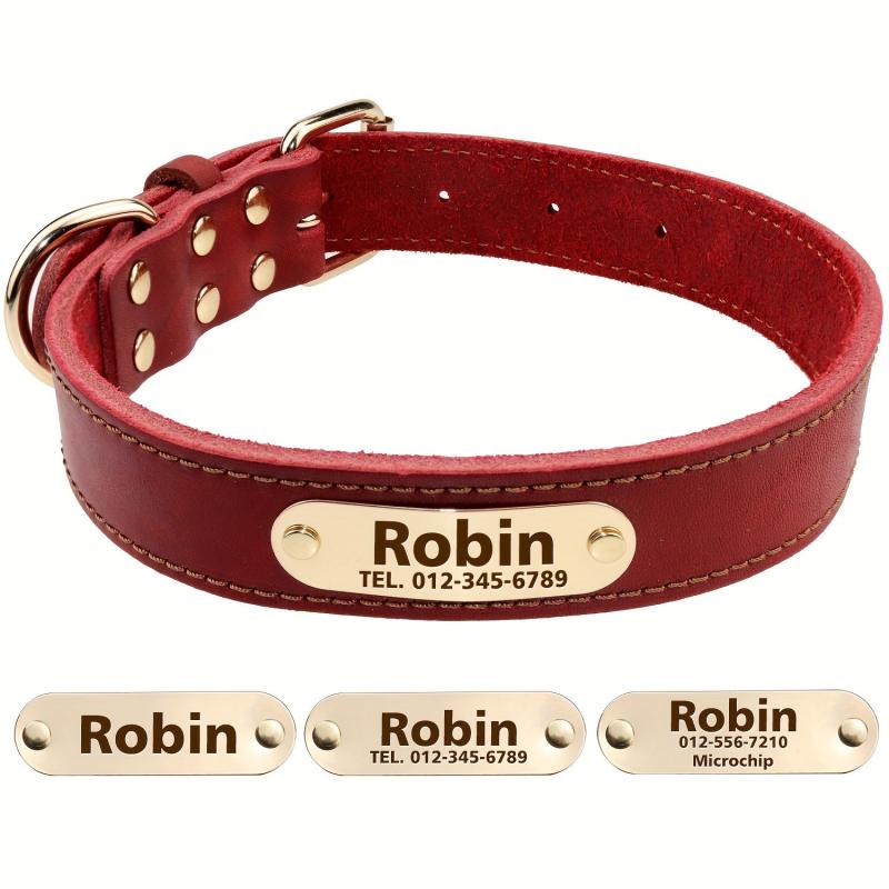 Personalized Leather Dog Collar, Padded, Rust Proof