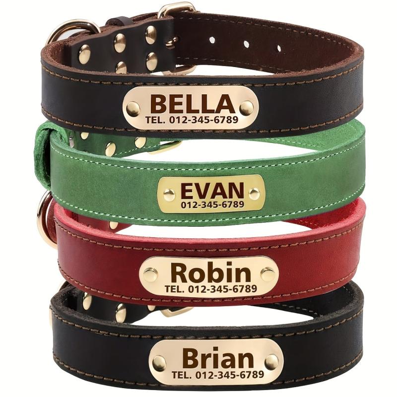 Personalized Leather Dog Collar, Padded, Rust Proof