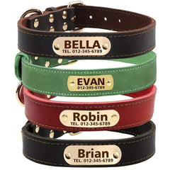 Personalized Leather Dog Collar, Padded, Rust Proof