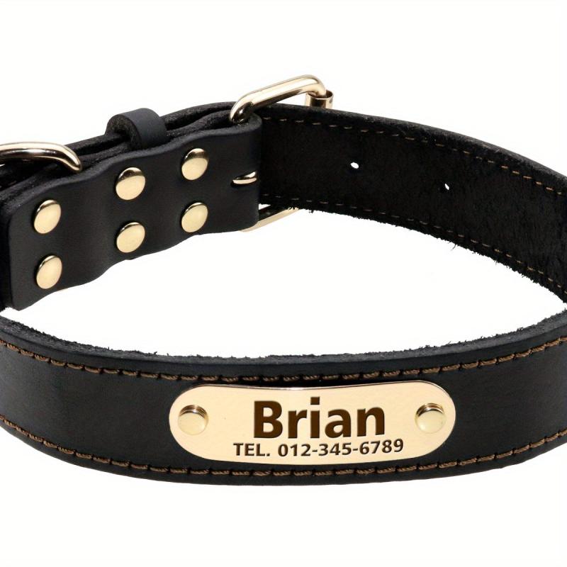 Personalized Leather Dog Collar, Padded, Rust Proof