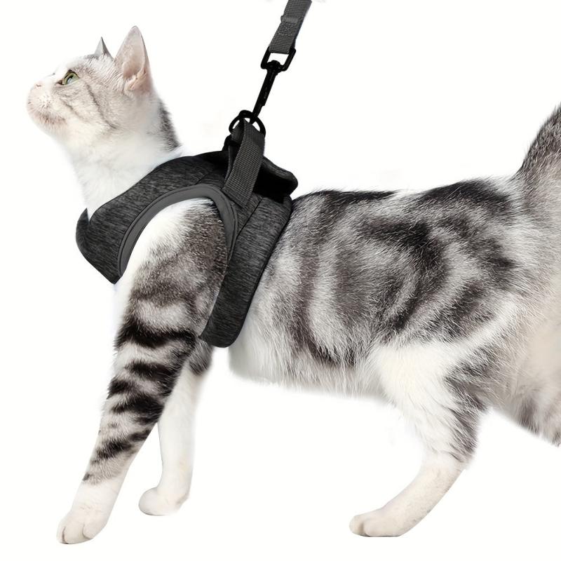 Escape Proof Cat Harness and Leash Set for Small and Medium Cats
