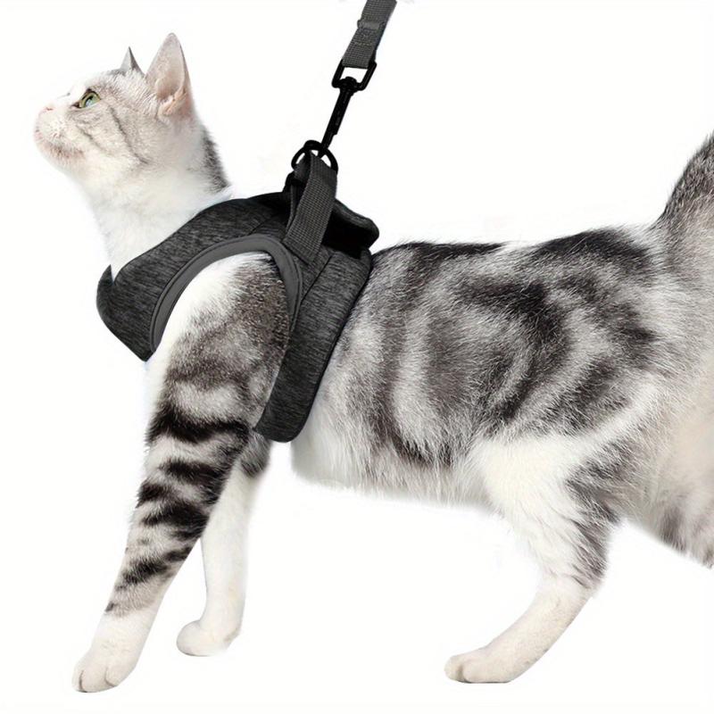 Escape Proof Cat Harness and Leash Set for Small and Medium Cats