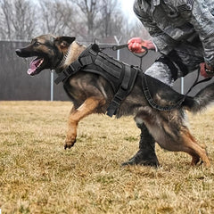 Adjustable No Pull Dog Harness for Comfort & Control