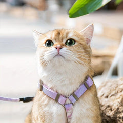 Adjustable Cat Harness and Leash Set Comfortable and Secure