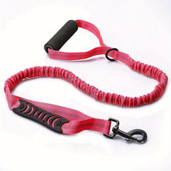 Retractable Dog Leash Explosion Proof Reflective Stretchable & Adjustable