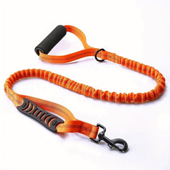 Retractable Dog Leash Explosion Proof Reflective Stretchable & Adjustable