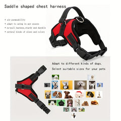 Comfortable Pet Harness and Leash Set for Dogs - Ideal for Walking and Traveling